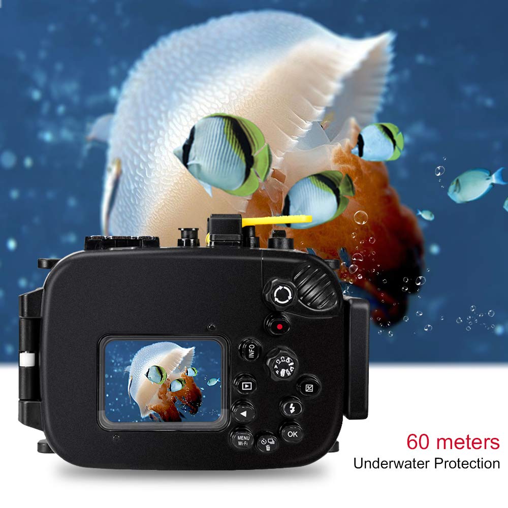 Olympus TG-5 & ハウジング ダイビング用 格安レンタル】【OLYMPUS】TG-5 ダイビング撮影セット 防水